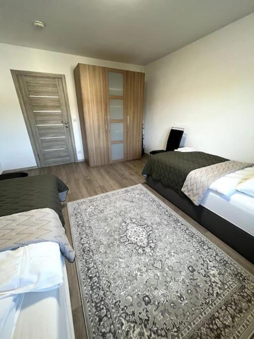 Familienwohnung Naehe Europapark, Messe, Gifiz See Оффенбург Экстерьер фото